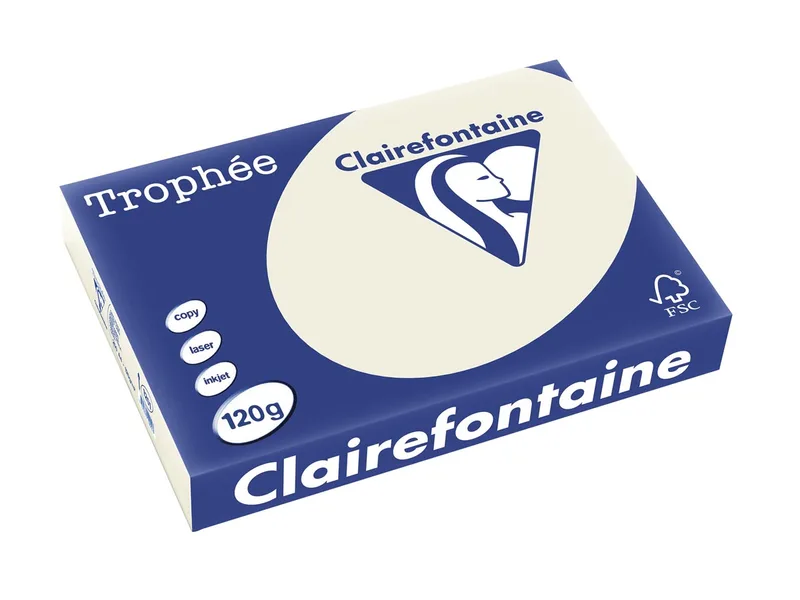 Trophée Pastel, gekleurd papier, A4, 120 g, 250 vel, parelgrijs von Clairefontaine – Produktfoto