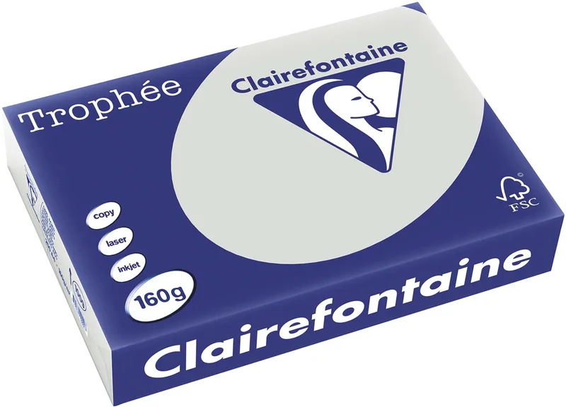 Trophée Pastel, gekleurd papier, A4, 160 g, 250 vel, lichtgrijs van Clairefontaine – productfoto