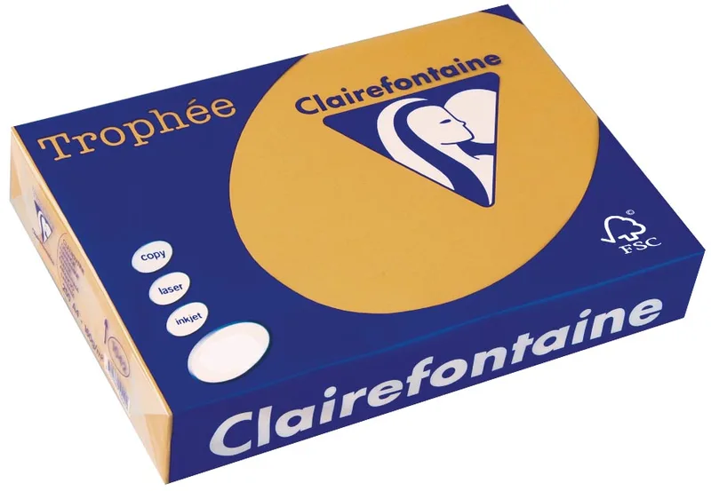 Trophée Pastel, gekleurd papier, A4, 160 g, 250 vel, mokkabruin fra Clairefontaine – produktbillede