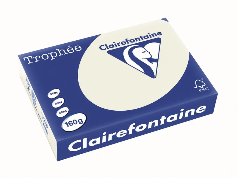 Trophée Pastel, gekleurd papier, A4, 160 g, 250 vel, parelgrijs de Clairefontaine – photo produit