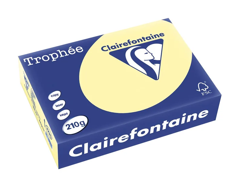 Trophée Pastel, gekleurd papier, A4, 210 g, 250 vel, kanariegeel von Clairefontaine – Produktfoto
