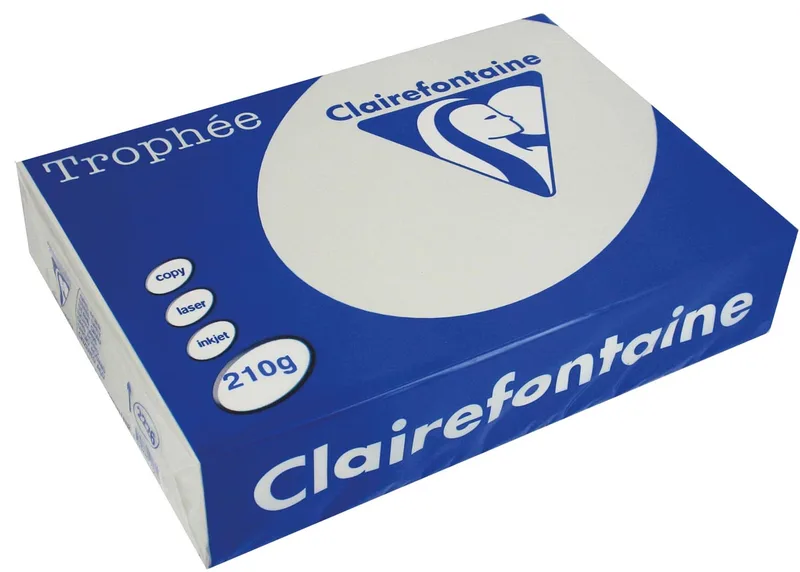 Trophée Pastel, gekleurd papier, A4, 210 g, 250 vel, lichtgrijs von Clairefontaine – Produktfoto