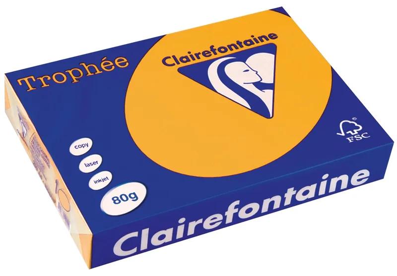 Trophée Pastel, gekleurd papier, A4, 80 g, 500 vel, goudgeel van Clairefontaine – productfoto