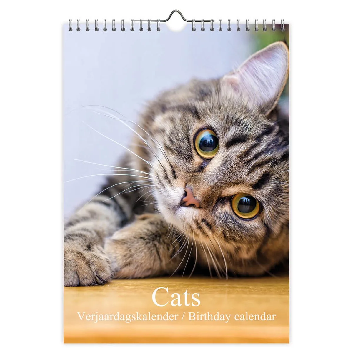 Cats verjaardagskalender - A4 by Comello in Multicolour – product photo