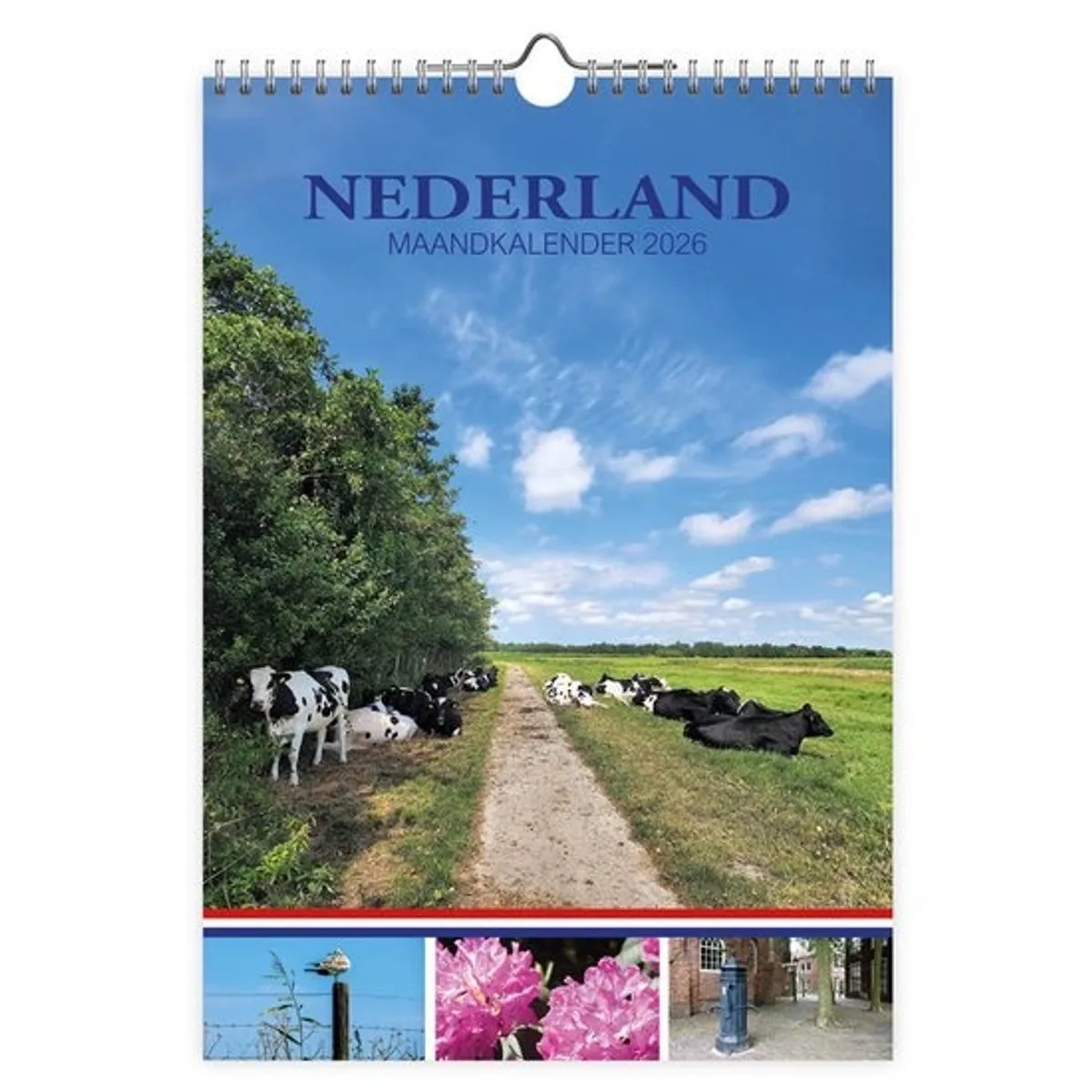 Nederland maandkalender (koeien) - 2026 de Comello en Multicolore – photo produit