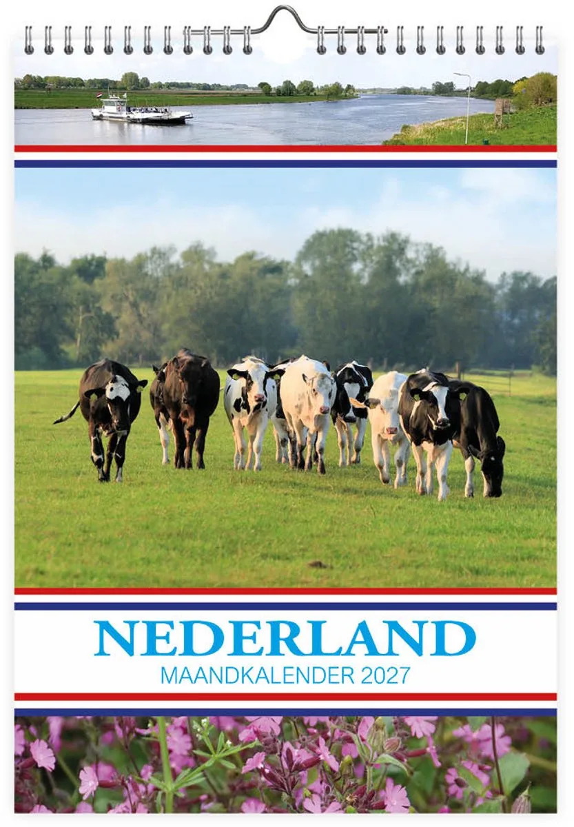 Nederland Maandkalender Koeien 2027 van Comello in Meerkleurig – productfoto