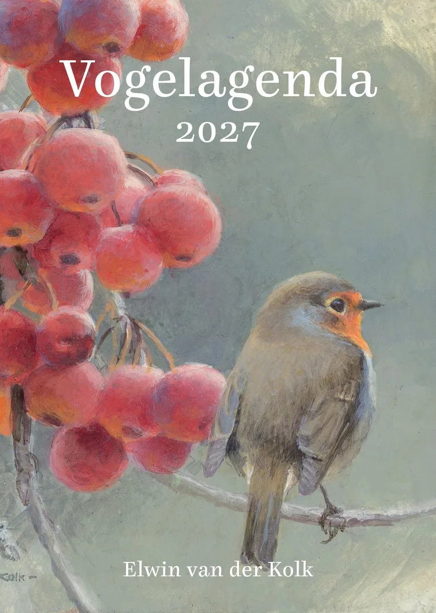 Vogel Agenda 2027 - Illustraties van Elwin van der Kolk fra Comello i Flerfarvet – produktbillede