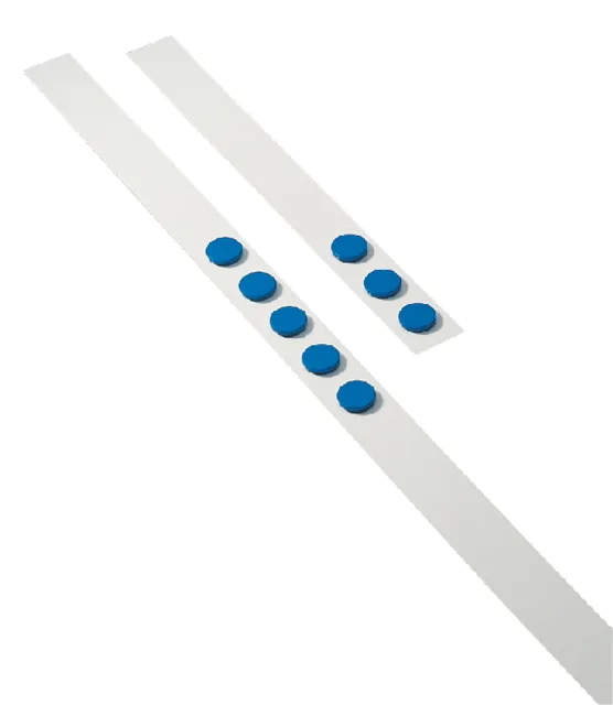 Wandlijst Desq 100cm met 5 blauwe magneten van 32mm van Desq – productfoto