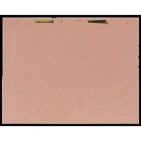 Binnenmap djois folio snelhechter 300gr chamois | 100 stuks von Djois – Produktfoto