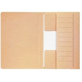 Dossiermap djois mamm folio 250gr recy ch | 50 stuks by Djois – product photo