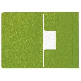 Dossiermap djois mamm folio 3k 250gr recy gn | 50 stuks de Djois – photo produit