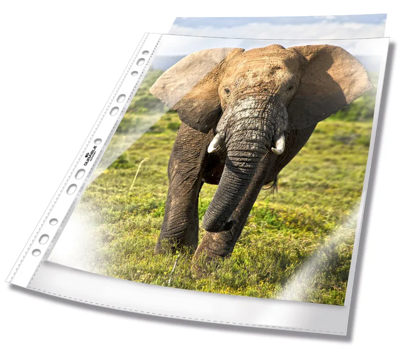 BUSINESS Prospekthülle, DIN A4, PP, transparent van Durable – productfoto