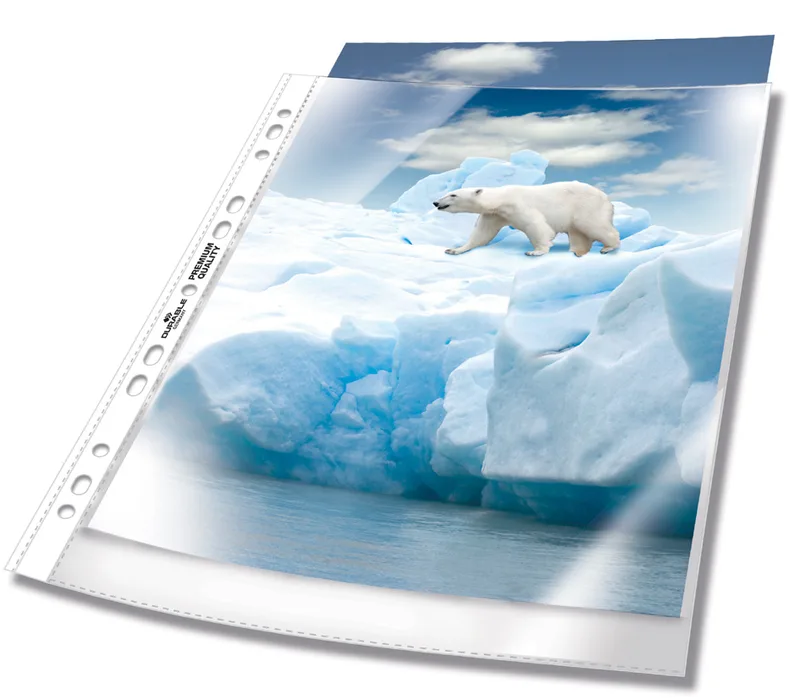 PREMIUM Prospekthülle, DIN A4, PP, transparent von Durable – Produktfoto