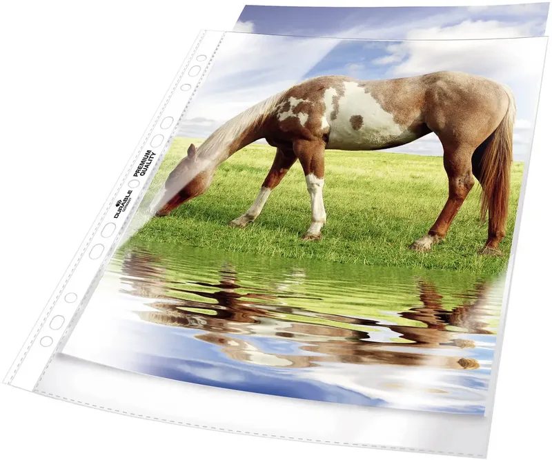 Prospekthülle DURABLE de Durable – photo produit