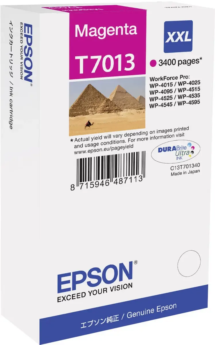 Druckerpatrone T7013 Original Magenta C 13 T 70134010 von Epson – Produktfoto