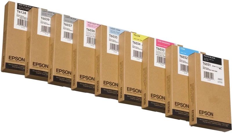 T6031 - Inktcartridge / Foto de Epson en Noir – photo produit