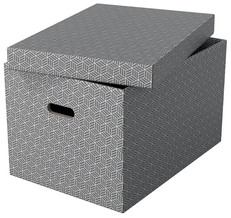 Aufbewahrungsbox Home L, 3er Set, grau van Esselte – productfoto