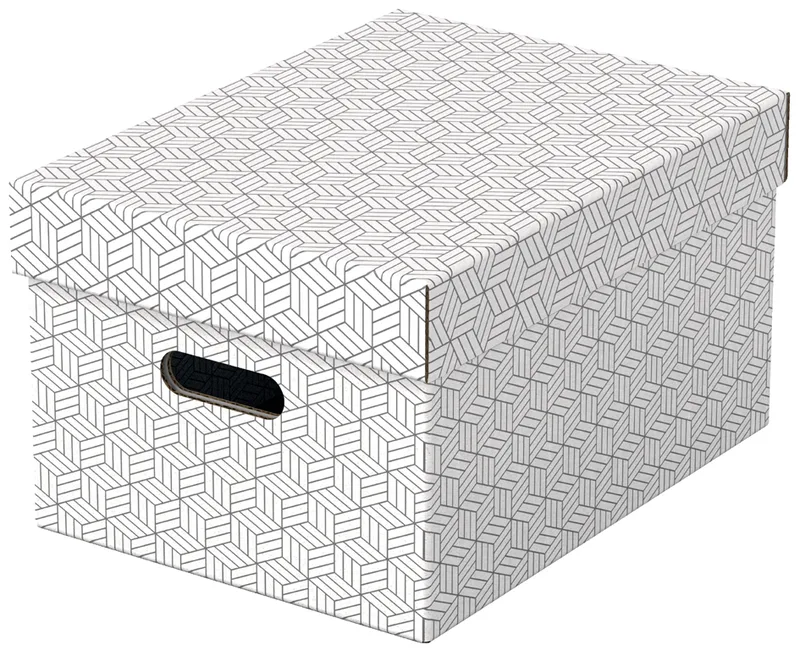 Aufbewahrungsbox Home M, 3er Set, grau by Esselte – product photo