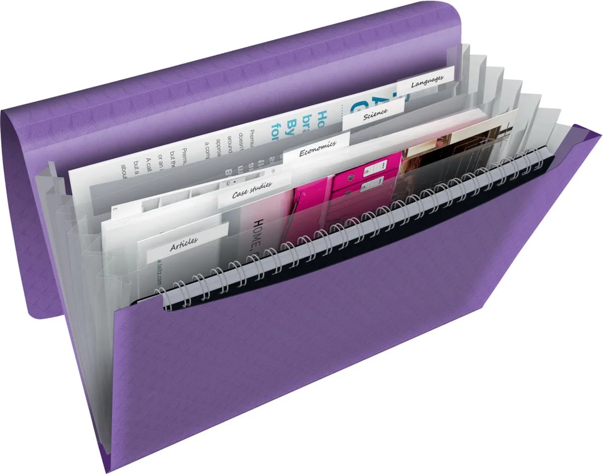 Colour'Breeze A4 Uitzetbare Projectmap - Organiser met 5 Tabbladen/6 Vakken fra Esselte i Lavendel – produktbillede
