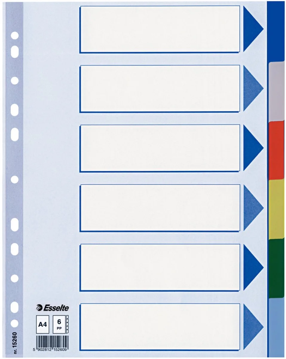 Esselte 6 gekleurde tabbladen, PP, A4 (ref15260) Omdoos van 20 sets de Esselte en Bleu – photo produit