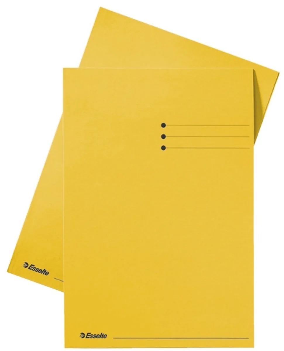 Inlegmap Karton de Esselte en Jaune – photo produit
