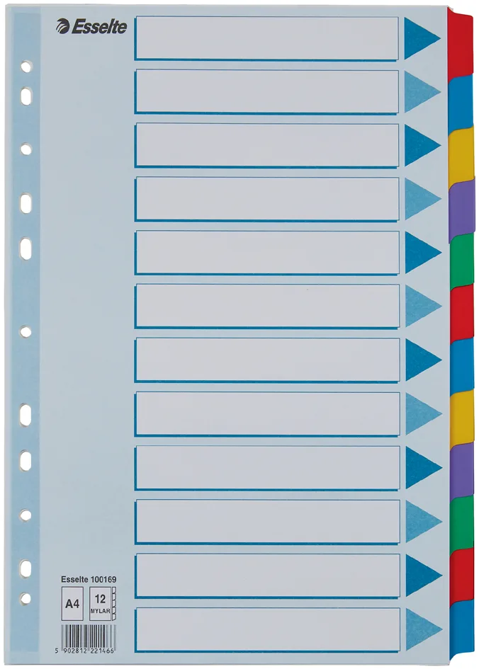 Karton-Register, blanko, A4, 12-teilig, mehrfarbig by Esselte – product photo