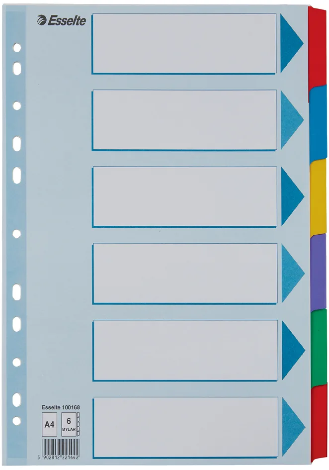 Karton-Register, blanko, A4, 6-teilig, mehrfarbig by Esselte – product photo