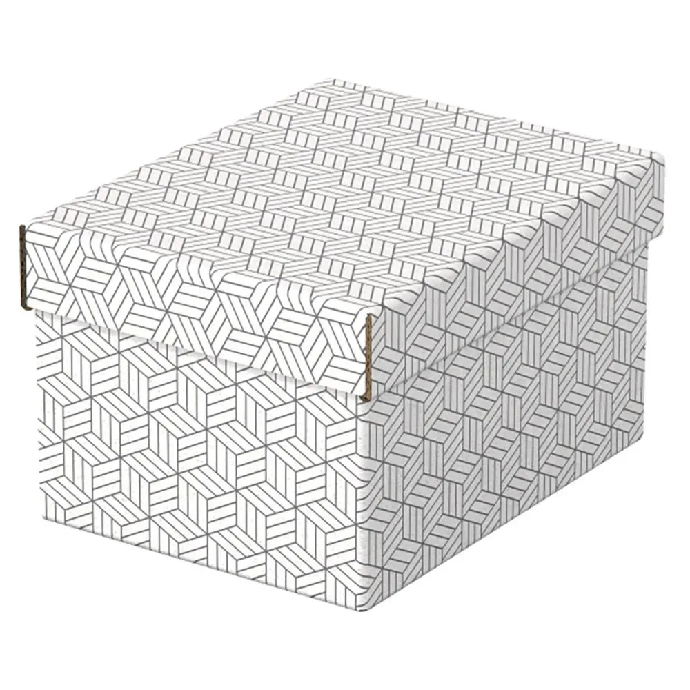 Kleine Aufbewahrungsbox Für Geschenke 255x200x150 Mm fra Esselte – produktbillede