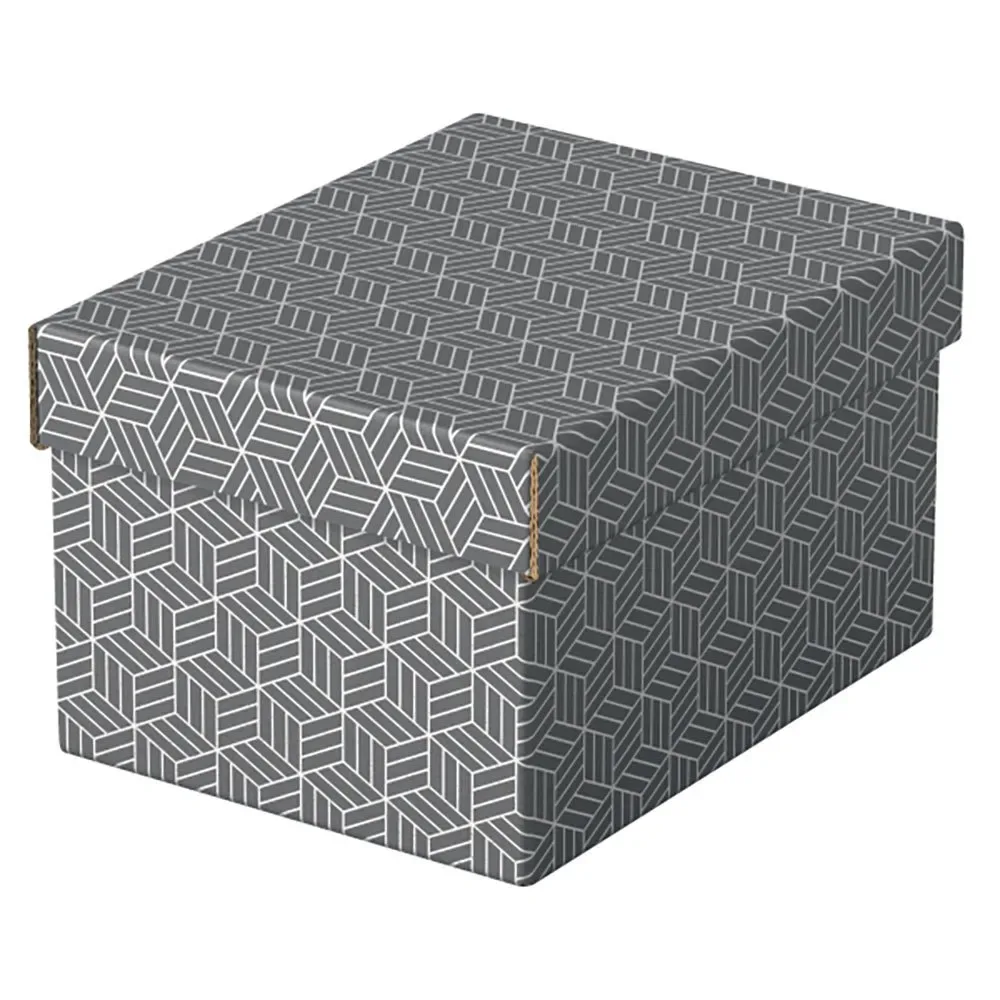 Petite Boîte De Rangement Pour Cadeau 255x200x150 Mm de Esselte – photo produit