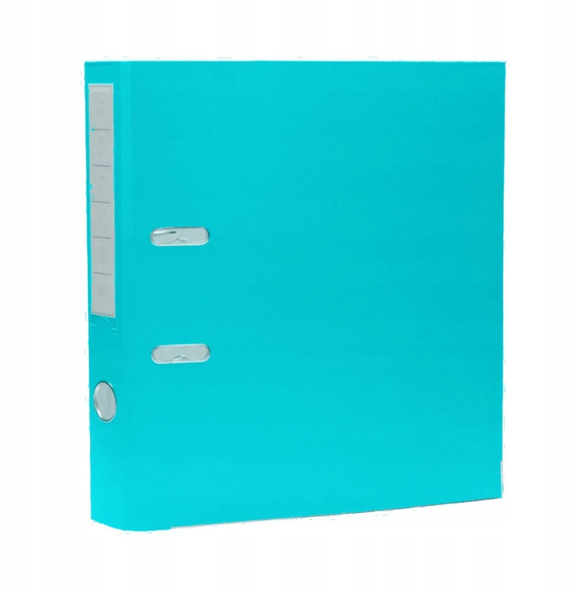 Ringband Kaart A4 50mm PP Turquoise - Economisch från Esselte – produktbild