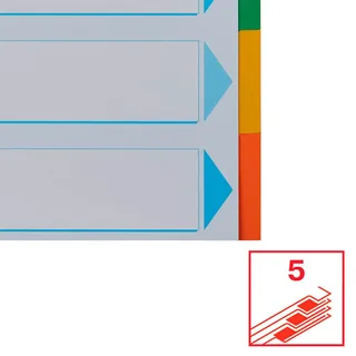 Tabbladen Esselte Economy A4 10-delig karton 11-rings assorti de Esselte – photo produit 4 sur 5