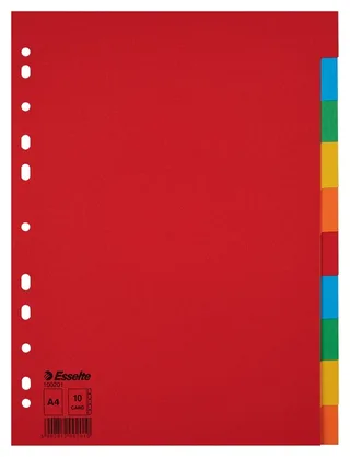 Tabbladen Esselte Economy A4 10-delig karton 11-rings assorti de Esselte – photo produit 1 sur 5