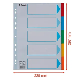 Tabbladen Esselte Economy A4 10-delig karton 11-rings assorti de Esselte – photo produit 5 sur 5