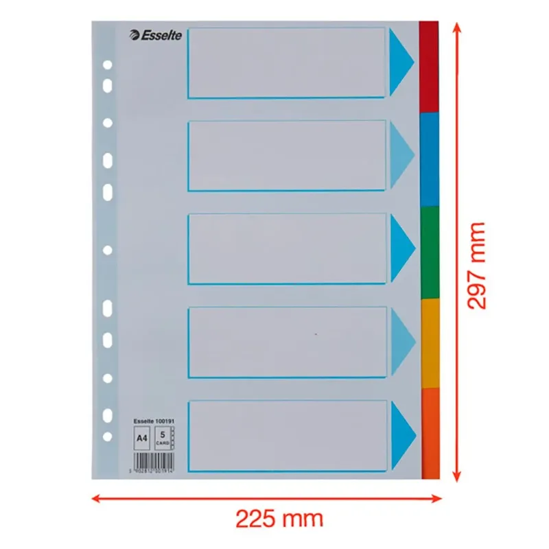 Tabbladen Esselte Economy A4 10-delig karton 11-rings assorti de Esselte – photo produit 5 sur 5