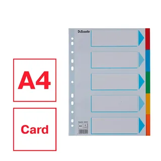 Tabbladen Esselte Economy A4 10-delig karton 11-rings assorti de Esselte – photo produit 3 sur 5