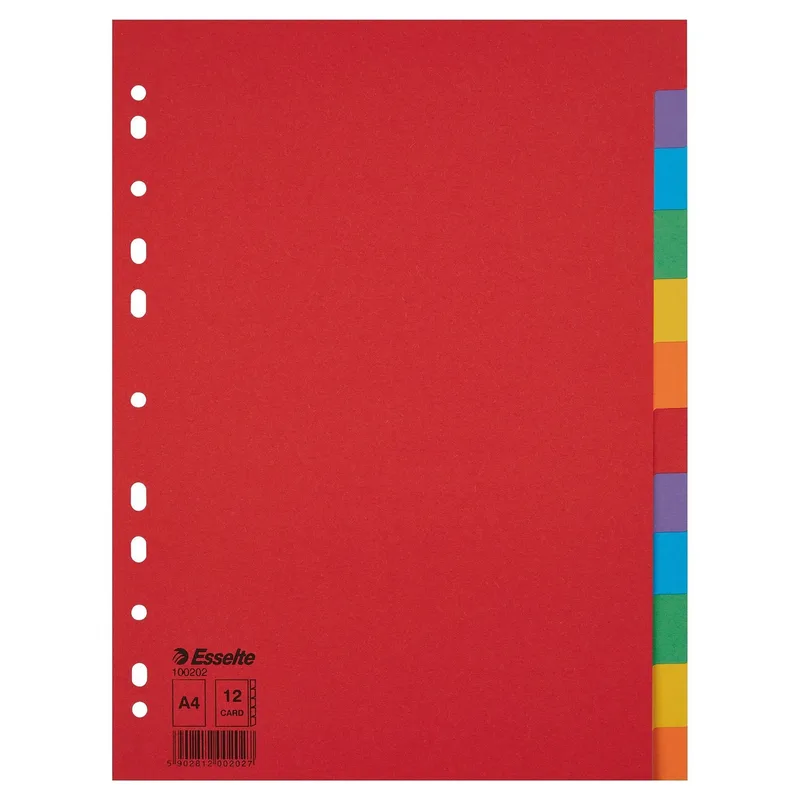 Tabbladen esselte economy a4 12dlg karton 11r ass | 10 stuks von Esselte – Produktfoto