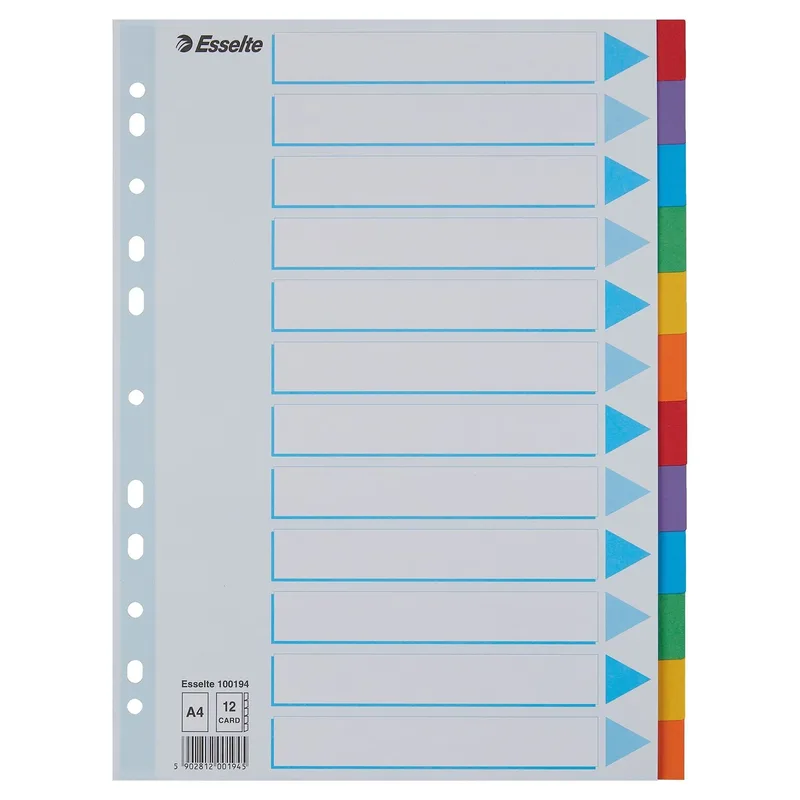 Tabbladen esselte stand a4 12dlg karton 11r ass | 10 stuks by Esselte – product photo