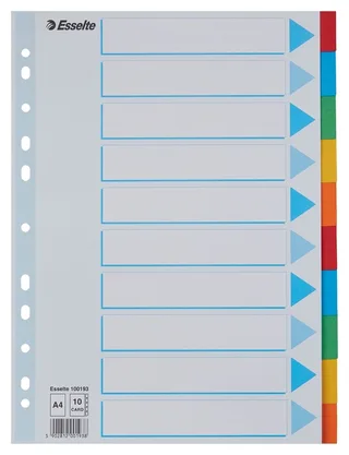 Tabbladen Esselte Standaard A4 10-delig karton 11-rings met voorblad assorti de Esselte – photo produit 1 sur 5