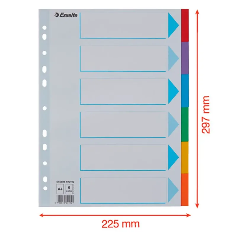 Tabbladen Esselte Standaard A4 10-delig karton 11-rings met voorblad assorti de Esselte – photo produit 5 sur 5