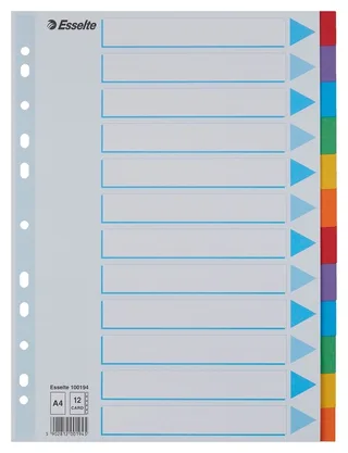 Tabbladen Esselte Standaard A4 12-delig karton 11-rings met voorblad assorti de Esselte – photo produit 1 sur 6