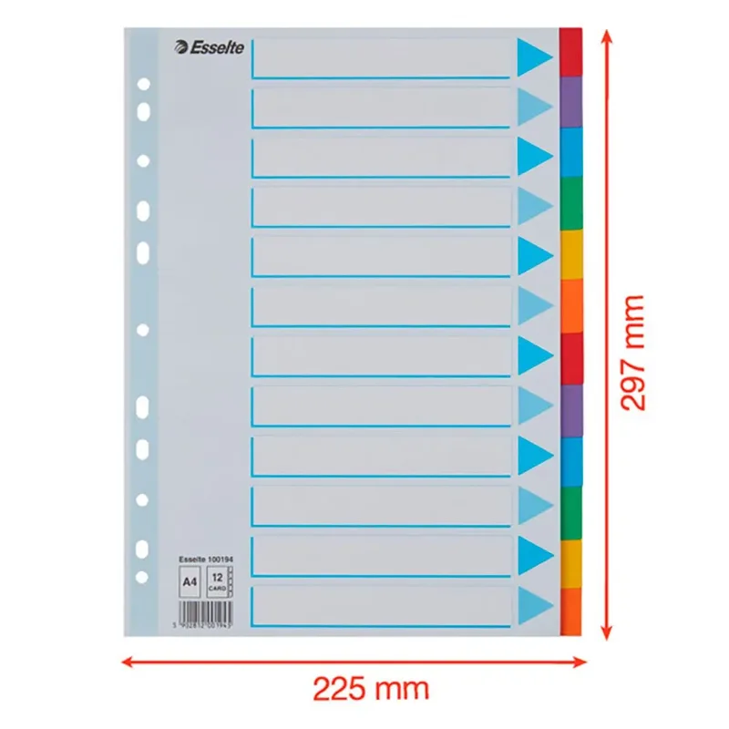 Tabbladen Esselte Standaard A4 6-delig karton 11-rings met voorblad assorti de Esselte – photo produit 5 sur 5