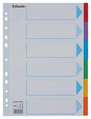 Tabbladen Esselte Standaard A4 6-delig karton 11-rings met voorblad assorti de Esselte – photo produit 1 sur 5