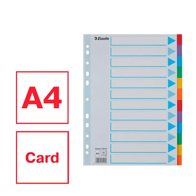 Tabbladen Esselte Standaard A4 6-delig karton 11-rings met voorblad assorti de Esselte – photo produit 3 sur 5