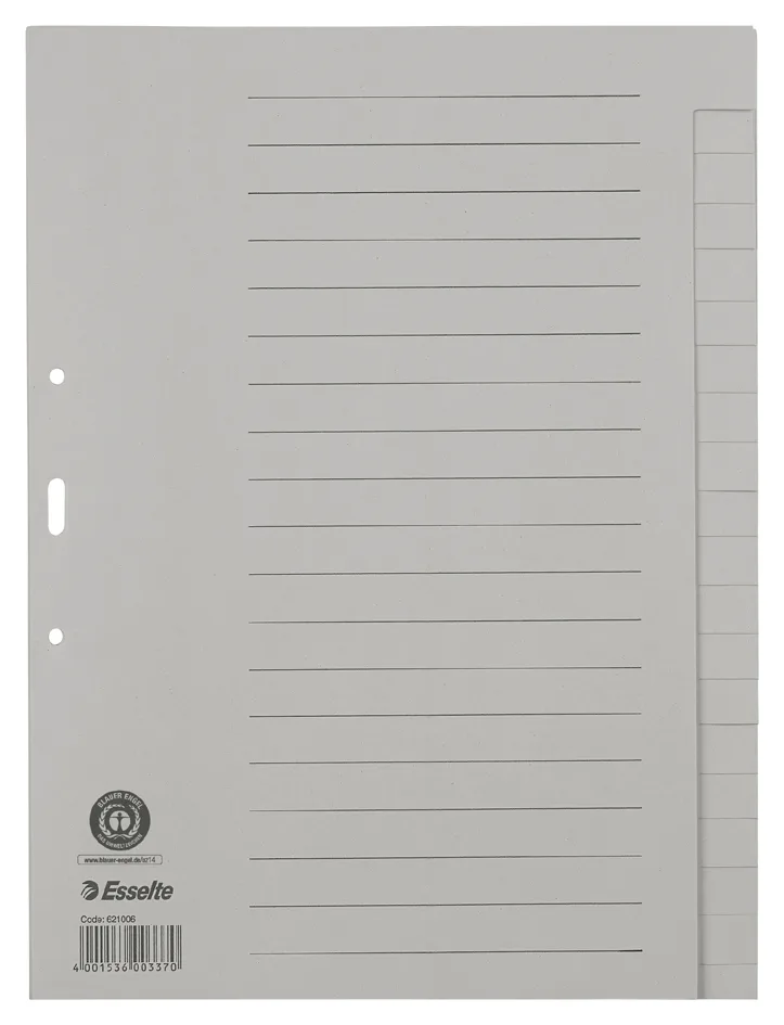 Tauenpapier-Register, blanko, A4, 20-teilig, grau van Esselte – productfoto