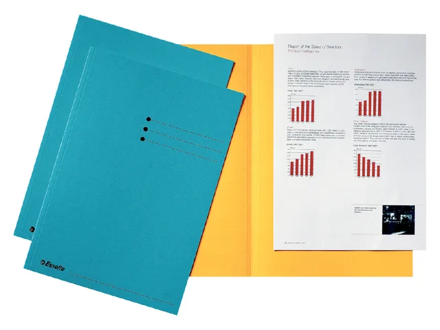 Vouwmap Esselte A4 manilla 180gr blauw by Esselte – product photo
