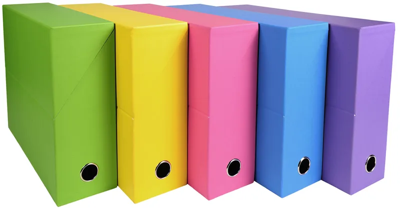 Archivbox SALSA, Karton, 90 mm, sortiert by Exacompta – product photo