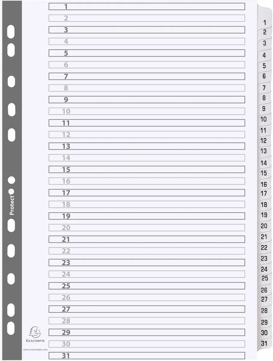 Bedrukte tabbladen karton 160g - geplastificeerde tabs - 31 tabs - 1 tot 31 - A4 - MWD1-31Z fra Exacompta i Hvid – produktbillede
