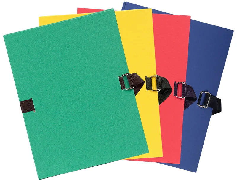 Dokumentenmappe, DIN A4, Karton, hellgrün de Exacompta – photo produit