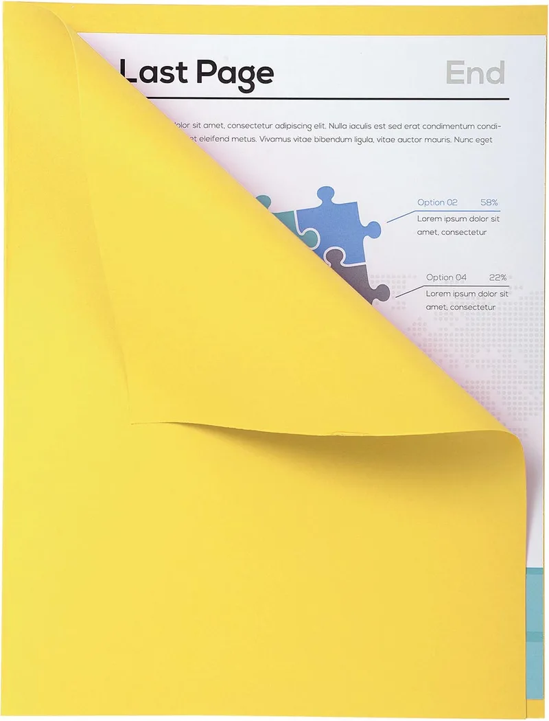 dossiermap Forever met zichtrand, ft A4, pak van 100, geel by Exacompta – product photo