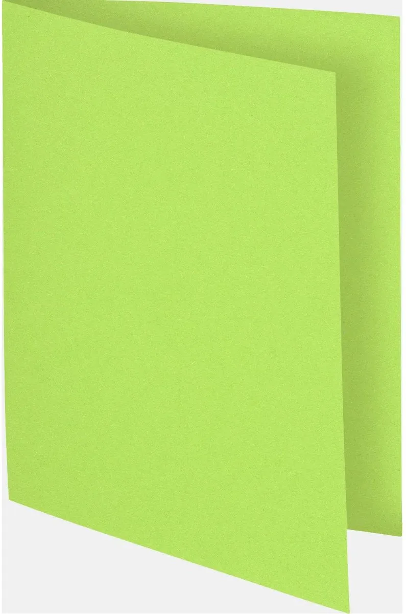 Exacompta 10x FLASH 80 - Pak van 100 inlegmappen - 150013E by Exacompta in Lindengroen – product photo